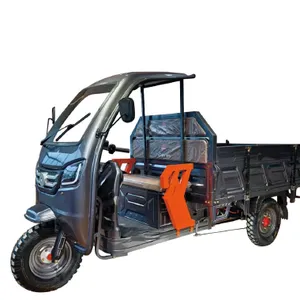 Tricycle/ Electric Tricycle/canopy Car（Wechat:13510231336） thumbnail-1