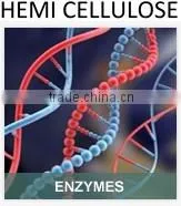 Hemi Cellulose For Bread Improvers thumbnail-1