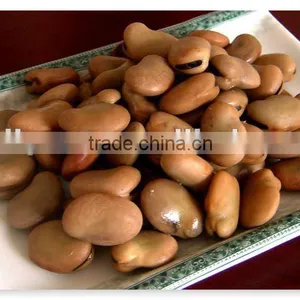 Dry Broad Beans thumbnail-1