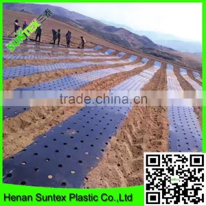 0.06 mm Thickness Black Plastic Garlic PE Mulch Film on Hot Selling thumbnail-1