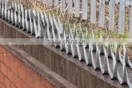 Best Quality Security Wall Spikes From Anping Factory thumbnail-4