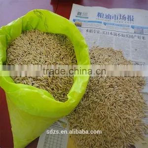 Barley Animal Feed of Canada Origin With High Test Weight thumbnail-1