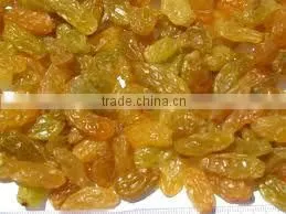 Yellow Raisin thumbnail-1