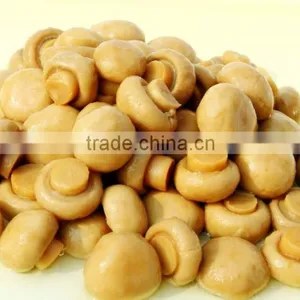 Canned Food Canned Champignon Canned Mushroom/champignon thumbnail-4