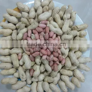 Peanut in Shell thumbnail-1