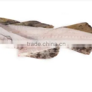 Cod Fish Bone thumbnail-1