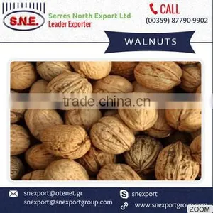 High Quality Walnuts With Shell and Without Shell at Cheap Rate thumbnail-1