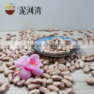 New CROP Light Speckled Kidney Bean 2016 Crop Hot Sale thumbnail-1