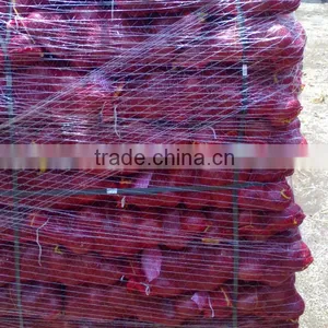 Red Onion thumbnail-3