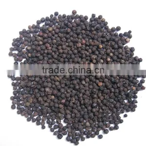 BLACK PEPPER PIN HEAD thumbnail-1
