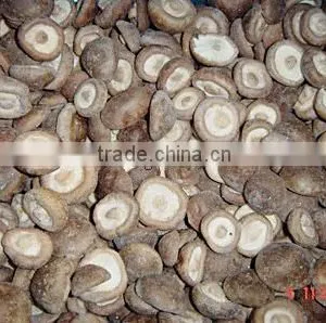 Good Quality Frozen IQF King Oyster Mushroom Pieces thumbnail-4