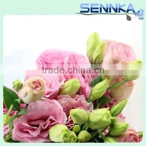 2016 Hot Selling Fresh Cut Flowers Purple Eustoma Purple Flower thumbnail-6