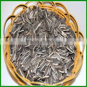 Sale Chinese Raw or Roasted High Quality and Inexpensive Sunflower Seeds in Shell thumbnail-1