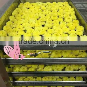 Flower Dryers / Flower Drying Machine thumbnail-2