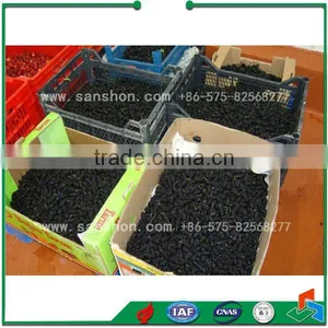 LSZ-1.0 Fruit and Vegetable Fluidized Quick-freezing Machine thumbnail-5