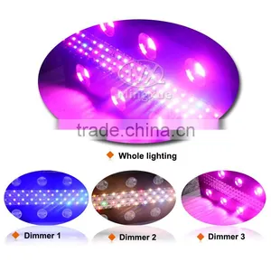 2017 900W Led Grow Light Horticulture,Customized Grow Light thumbnail-5