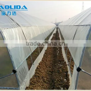 Polythene Film Greenhouse For Agriculture thumbnail-1