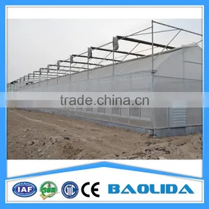 BLD Multi Span Sun Shading Greenhouse thumbnail-1