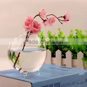 Ball Shaped Hydroponics Container Round Transparent Glass Vase for Plant thumbnail-1