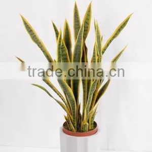 Landscaping Decorative Sanseviera Plant/make Artificial Fake Indoor Potted Plant/golden Ede Sanseviera Plant thumbnail-3