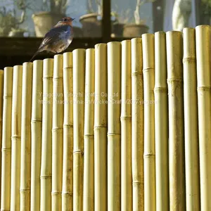 Bamboo Cane,Bamboo Pole,Bamboo Garden Fencing thumbnail-1