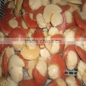 High Quality Scallop Shells for Sale thumbnail-1