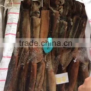Frozen Whole Round Illex Squid thumbnail-1