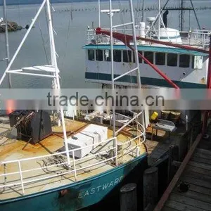 ALBACORE TUNA thumbnail-1