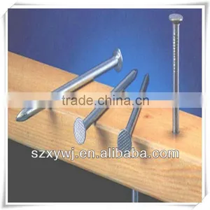 XY Common Galvanized Wire Nail With Flat Head thumbnail-1