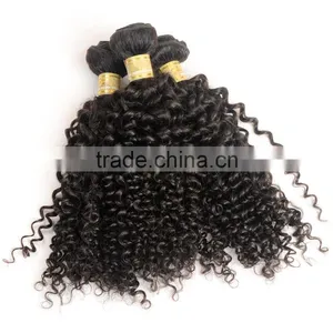 Fast Delivery Online Shop 100% Unprocessed Wholesale Tangle Free No Shedding Curly Raw Virgin Indian Hair thumbnail-3