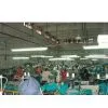 China Only Glove Factory company overview - view 1 thumbnail
