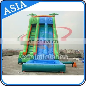 Double Lane Commercial Inflatable Water Slide, Pool Water Slide thumbnail-1