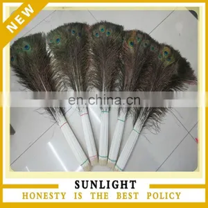 Wholesale 25-30cm 100% Natural Peacock Feather Peacock Plume thumbnail-1
