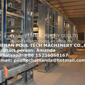 Brazil Poultry Farm Equipment - H Frame Full Automatic Layer Chicken Cage & Battery Chicken Cage & Laying Hen Cage for Farmer in Shed thumbnail-2
