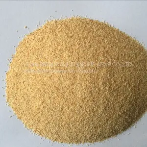 Garlic Granules 40-60mesh thumbnail-1
