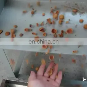 Taizy Nut Walnut Hazelnut Almond Shell Kernel Separating Machine thumbnail-1