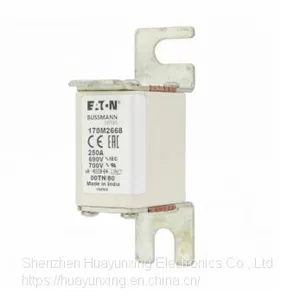 170M2668 Eaton Bussmann Series High Speed Square Body Fuse, 700V UL thumbnail-5