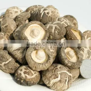 Dried White Flower Mushroom thumbnail-1