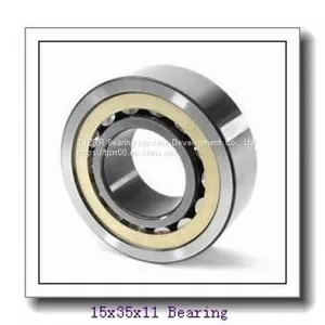 INA F-95066.02 Cylindrical Roller Bearings thumbnail-1
