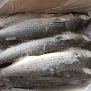 Frozen Gutted Grey Mullet thumbnail-2
