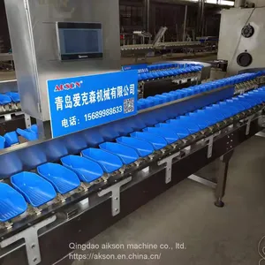Chicken Weight Sorting Machine thumbnail-3