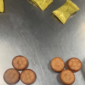 Quality Baked Crispy Anchor Butter Made Chocolate and Peanut Source Sandwich Biscuits thumbnail-1