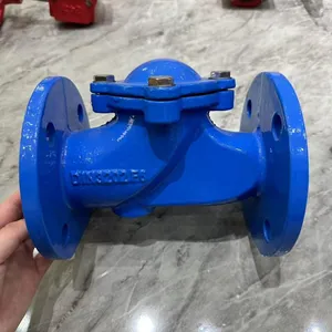 DIN 3202 Flange Cast Iron Ductile Iron GG25 GGG50 Check Valve PN16 Non Return Valve Ball Type Check Valve thumbnail-6