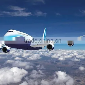 Shenzhen Air Freight/shipping China to Jordan ---Dolphin thumbnail-1