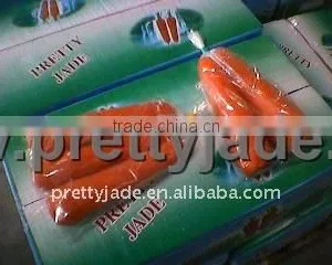 Carrot Price 2014 thumbnail-1