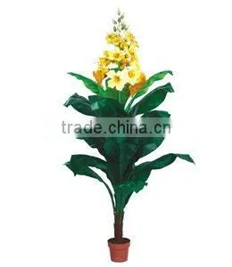 Fortune Tree thumbnail-1