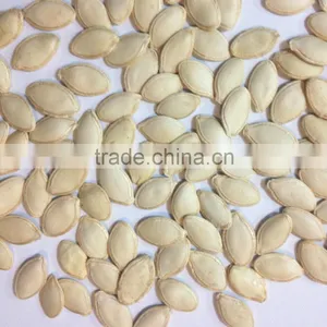 China New Crop Wholesale Shine Skin Pumpkin Seeds thumbnail-2