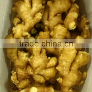 2013 Fresh Chinese Ginger for Exporting With Good Quality thumbnail-1