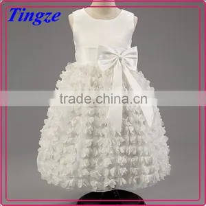 Wholesale Fashion Beautiful Kids Tutu Dress Girls Boutique Dresses TR-WS18 thumbnail-1