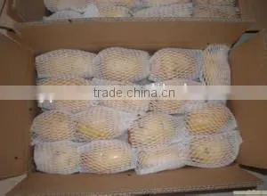 New Crop Dried Potato With High Quality thumbnail-1